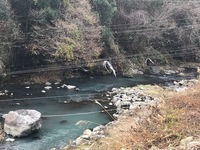 秩父フライフィールド 釣果