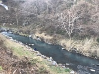 秩父フライフィールド 釣果