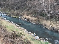 秩父フライフィールド 釣果