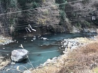 秩父フライフィールド 釣果