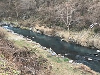 秩父フライフィールド 釣果