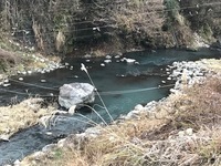 秩父フライフィールド 釣果