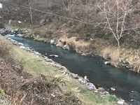 秩父フライフィールド 釣果