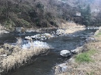 秩父フライフィールド 釣果