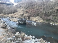 秩父フライフィールド 釣果