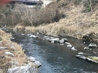 秩父フライフィールド 釣果