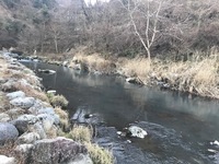 秩父フライフィールド 釣果