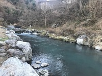 秩父フライフィールド 釣果