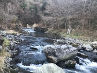 秩父フライフィールド 釣果