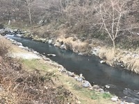 秩父フライフィールド 釣果