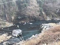 秩父フライフィールド 釣果