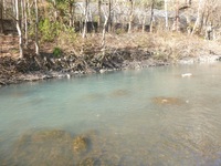 秩父フライフィールド 釣果