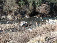 秩父フライフィールド 釣果