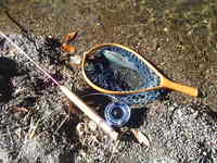 秩父フライフィールド 釣果