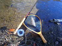 秩父フライフィールド 釣果