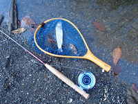 秩父フライフィールド 釣果