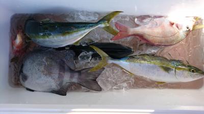 はじめ丸 釣果
