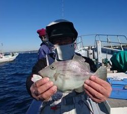 かねい丸 釣果