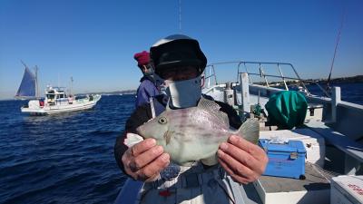 かねい丸 釣果