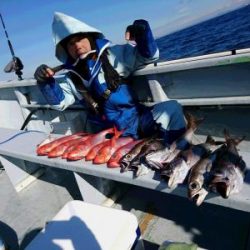 かねい丸 釣果