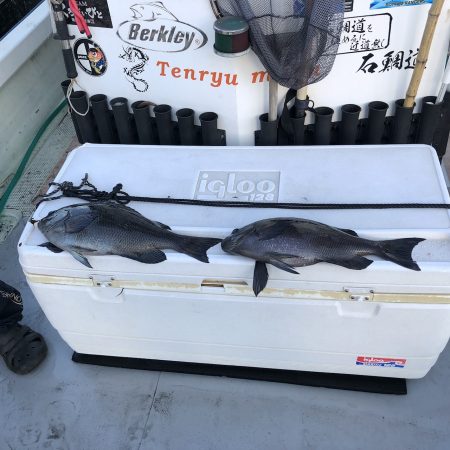 天竜丸 釣果