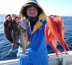 かねい丸 釣果
