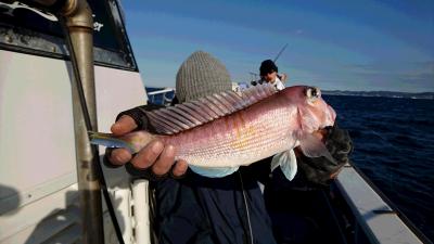 丸伊丸 釣果