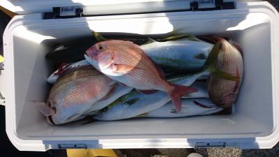 はじめ丸 釣果