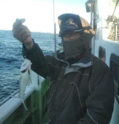 金沢八景鴨下丸 釣果