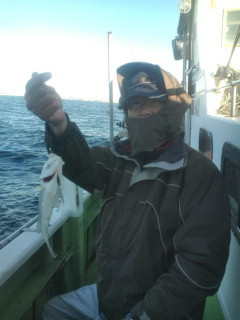 金沢八景鴨下丸 釣果