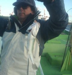 金沢八景鴨下丸 釣果