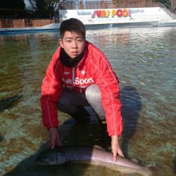 としまえんフィッシングエリア 釣果