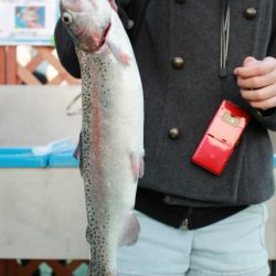 としまえんフィッシングエリア 釣果