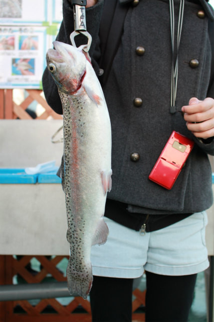 としまえんフィッシングエリア 釣果