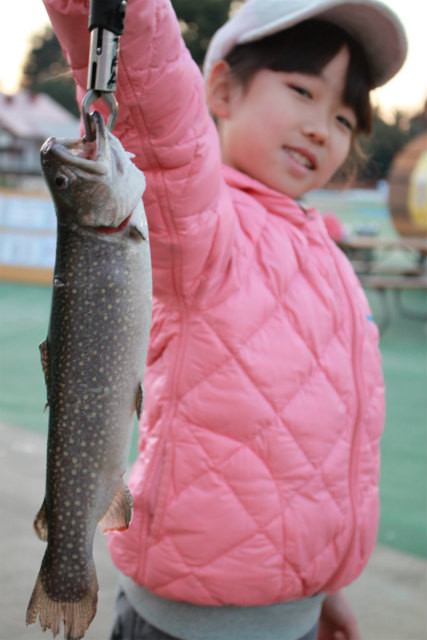 としまえんフィッシングエリア 釣果