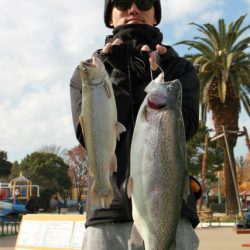 としまえんフィッシングエリア 釣果