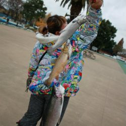 としまえんフィッシングエリア 釣果