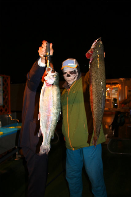 としまえんフィッシングエリア 釣果