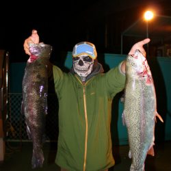 としまえんフィッシングエリア 釣果