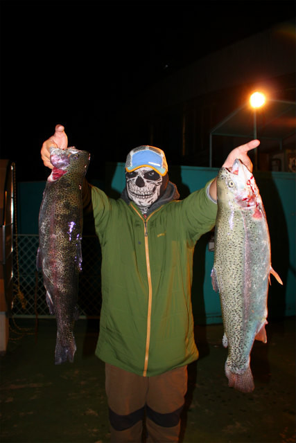 としまえんフィッシングエリア 釣果