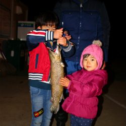 としまえんフィッシングエリア 釣果