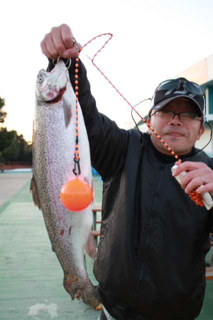 としまえんフィッシングエリア 釣果