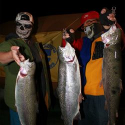 としまえんフィッシングエリア 釣果