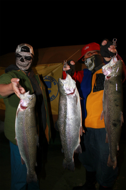 としまえんフィッシングエリア 釣果