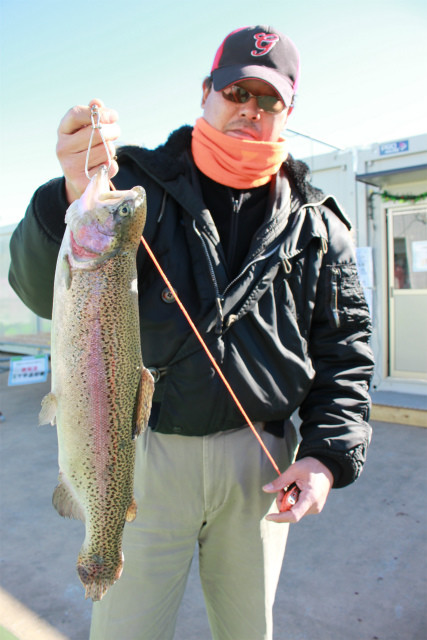 としまえんフィッシングエリア 釣果