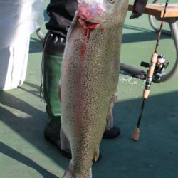 としまえんフィッシングエリア 釣果