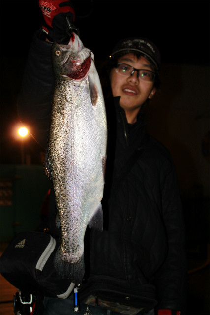 としまえんフィッシングエリア 釣果