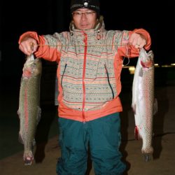 としまえんフィッシングエリア 釣果