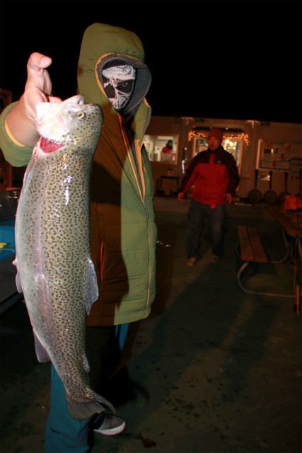 としまえんフィッシングエリア 釣果