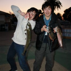 としまえんフィッシングエリア 釣果